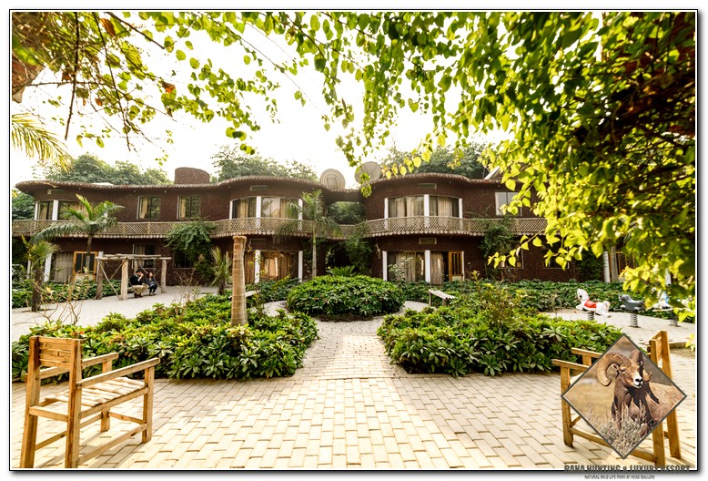 Residence in Rana Luxury Resort, Lahore